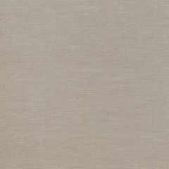 Texona Material Sample - Akusto One That Sounds Better Oyster (light grey) 