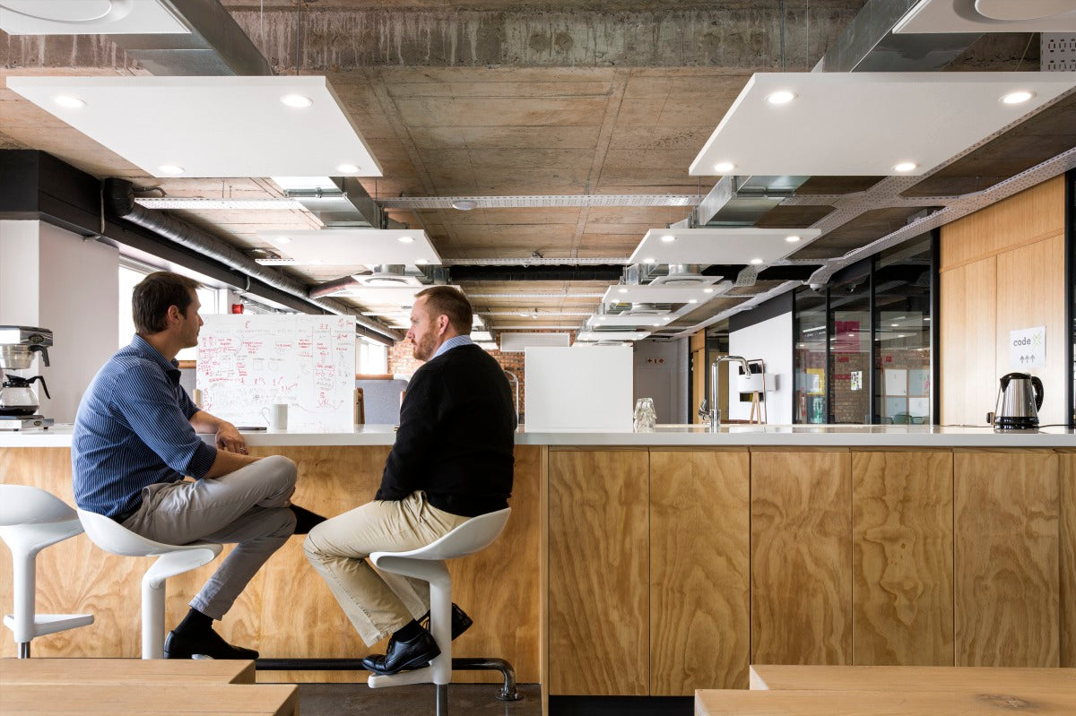 Two people in an office environment surrounded by an acoustic solution