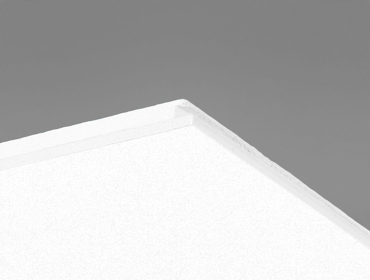 Ecophon Focus™ Ds - 1200mm x 600mm