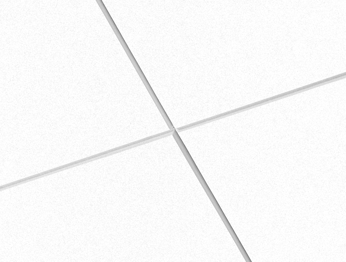 Ecophon Focus™ Ds - 1200mm x 600mm