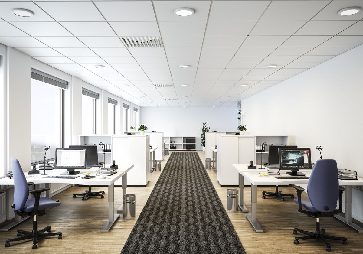 Ecophon Focus™ Ds - 1200mm x 600mm