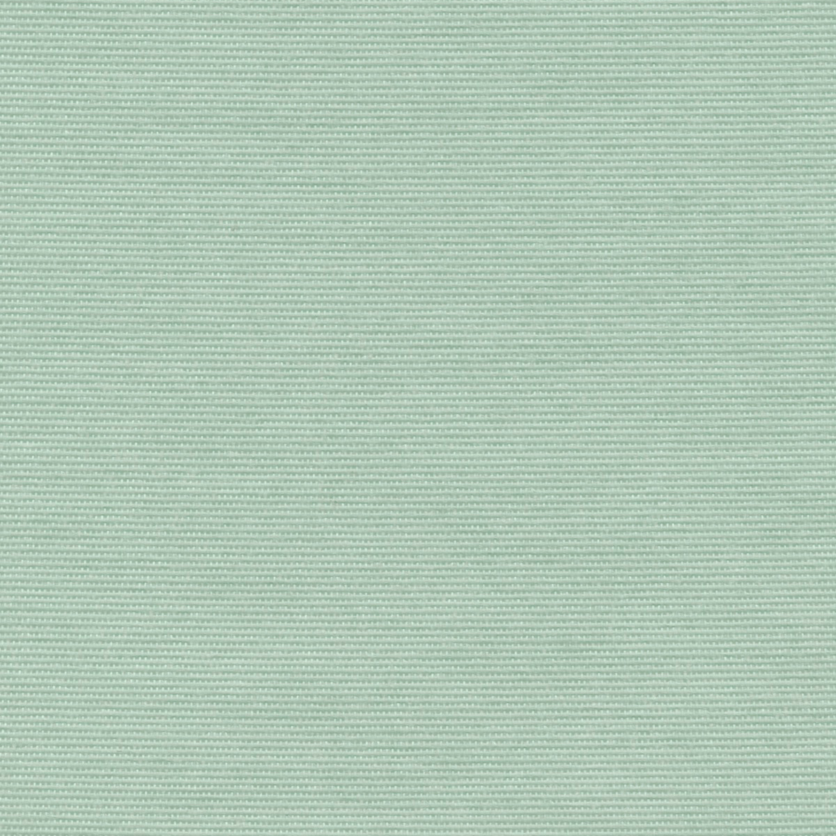 Texona Material Sample - Akusto One That Sounds Better Thyme (pastel green) 